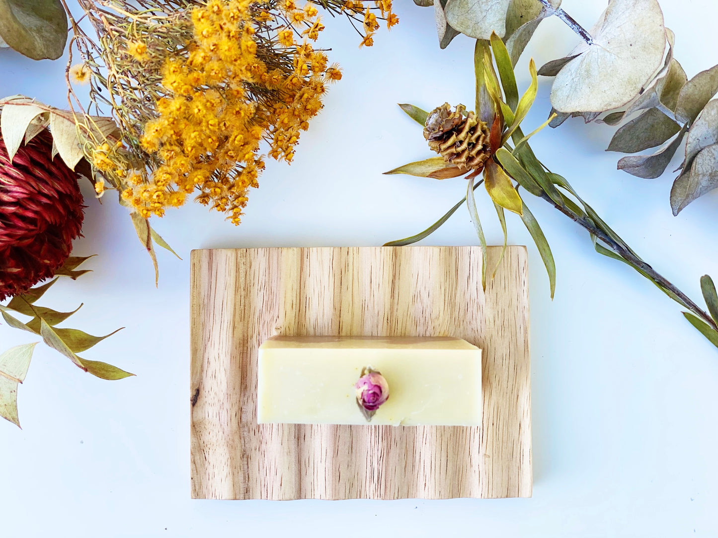 Soap Dish